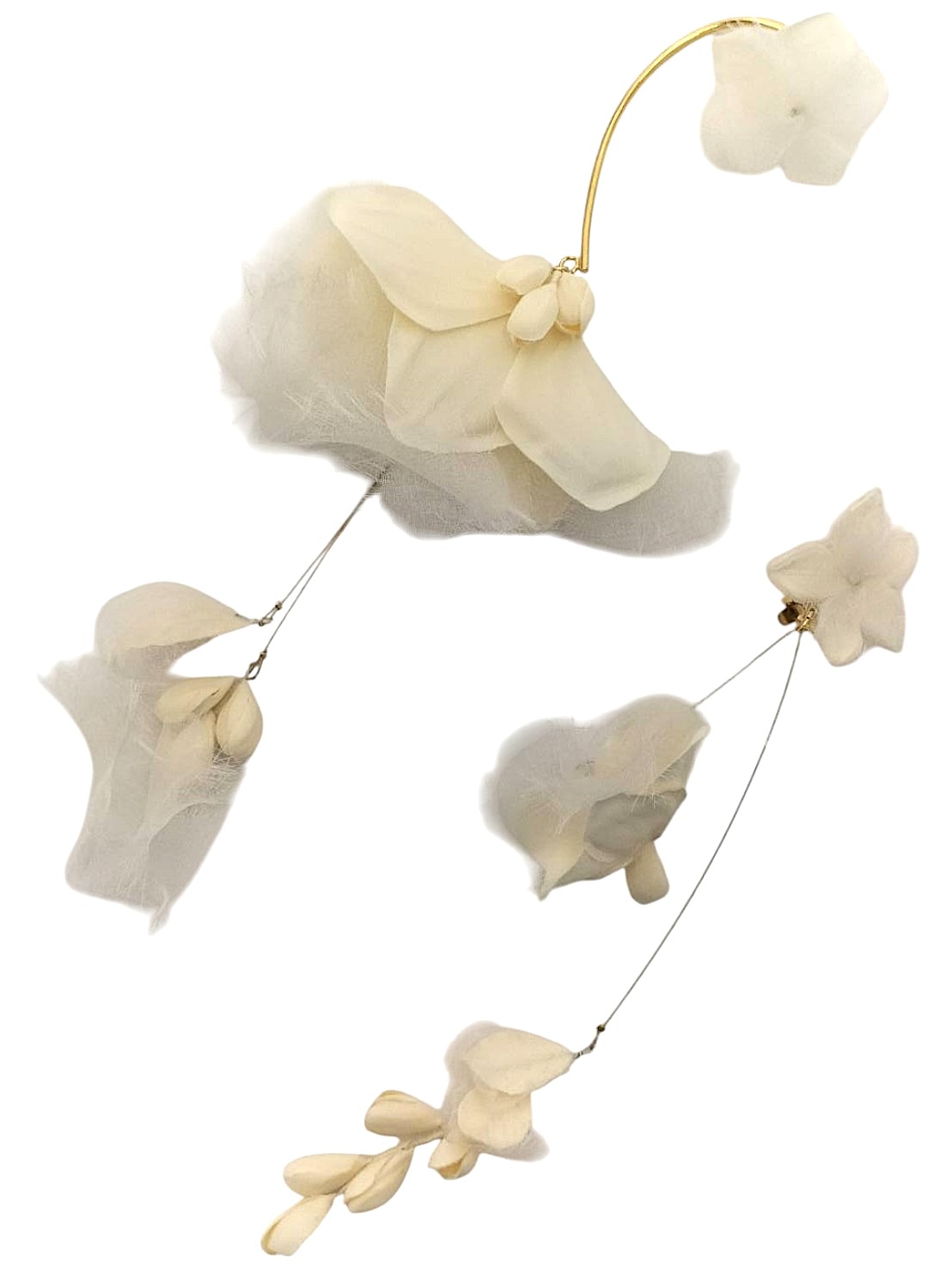 AC9999335　orgablanca