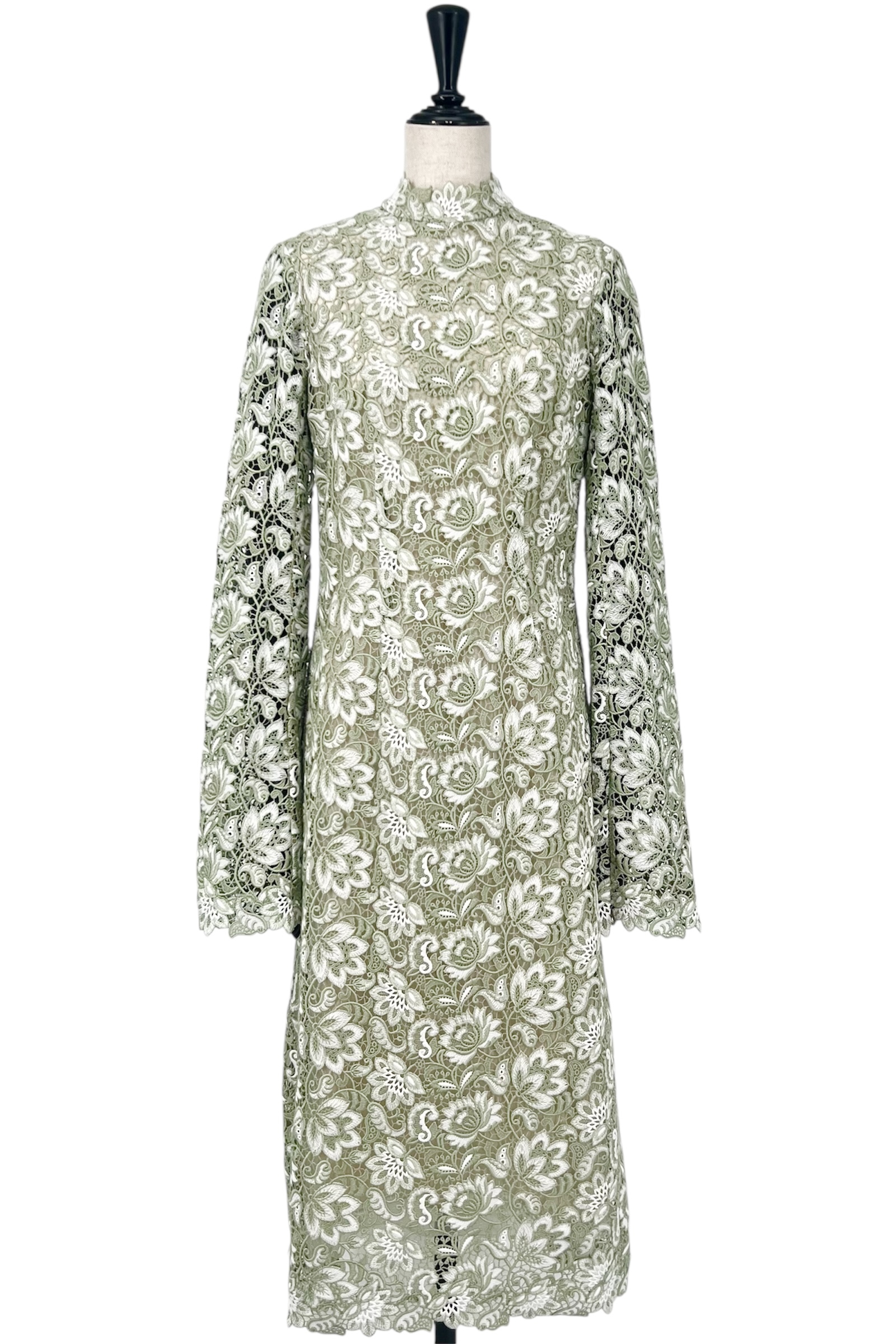 DR559259 ERDEM