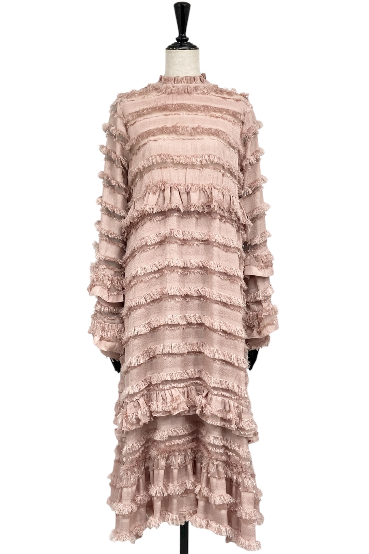 DR559553 sister jane