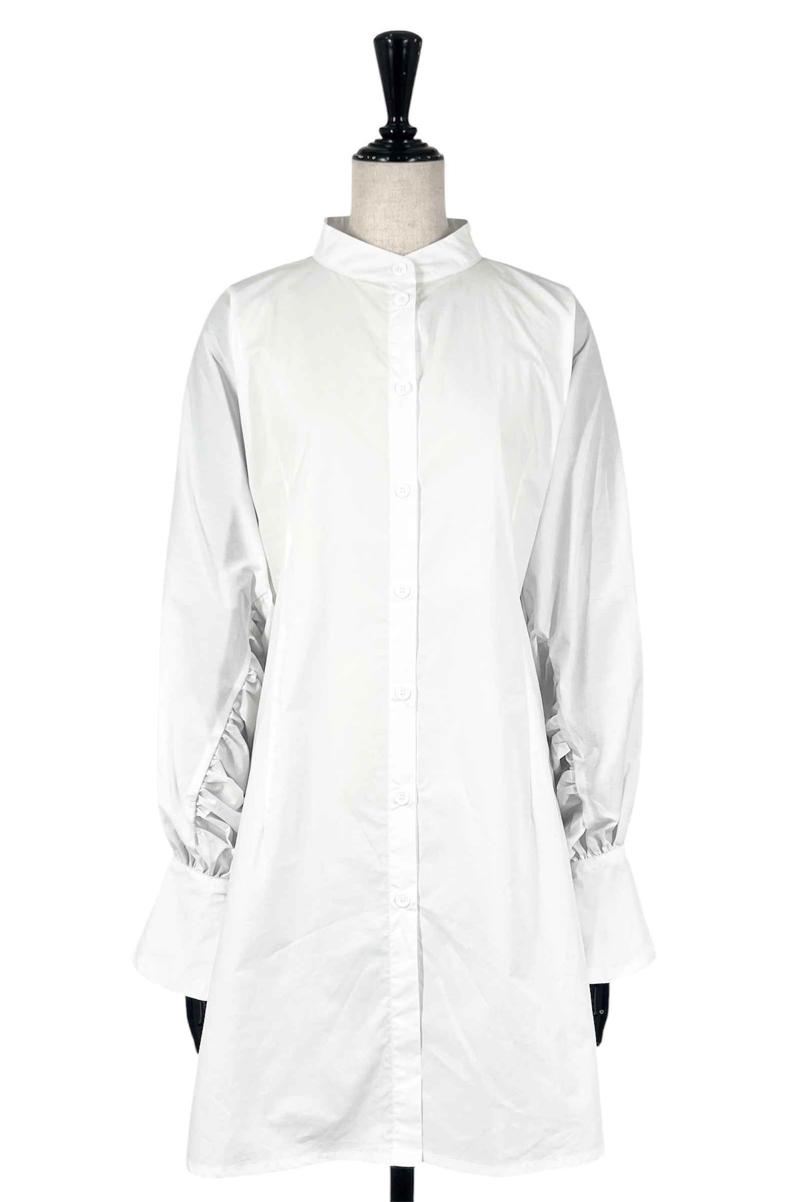 DR559746 WEILI ZHENG