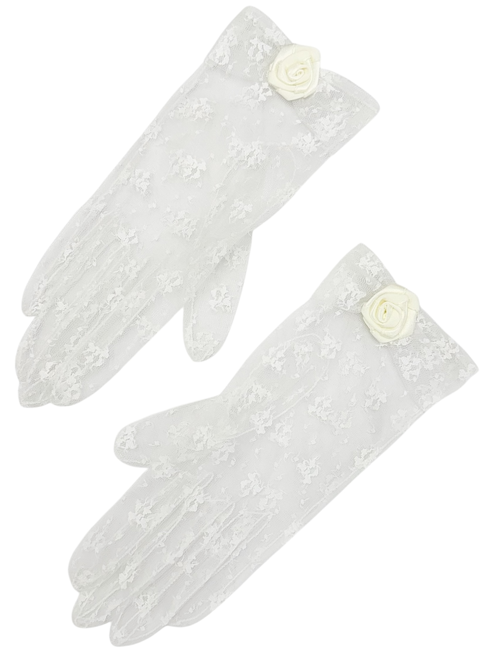 FA555974　GLOVE