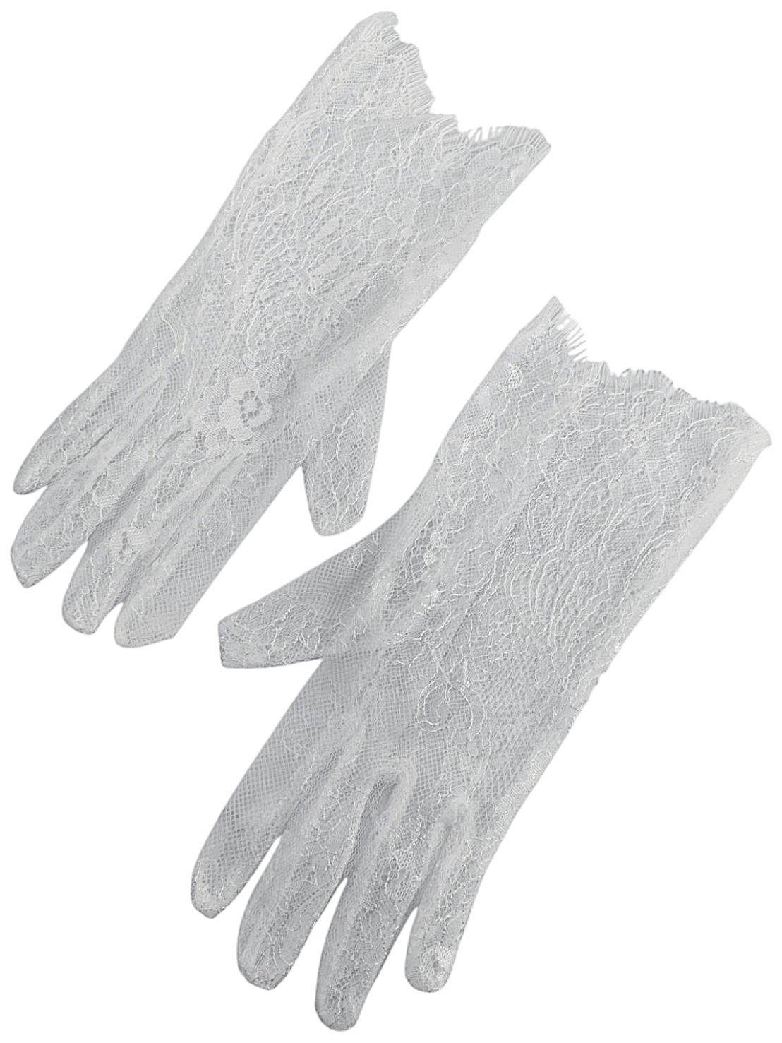 FA556253　GLOVE　L