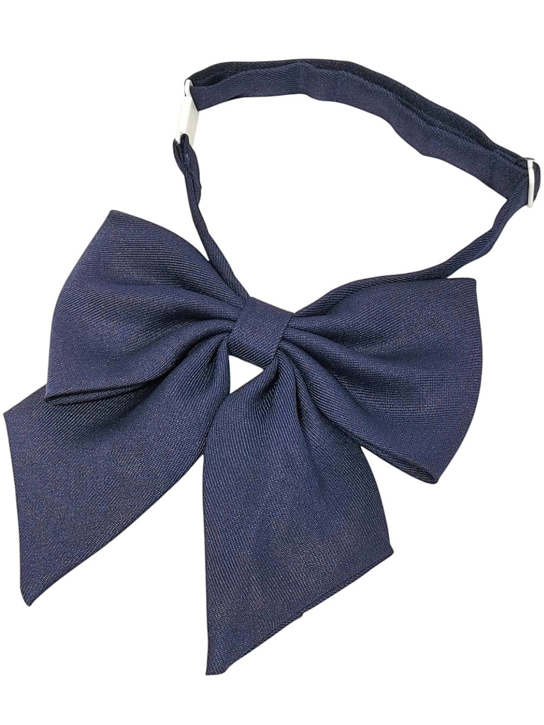 FA556346　school ribbon