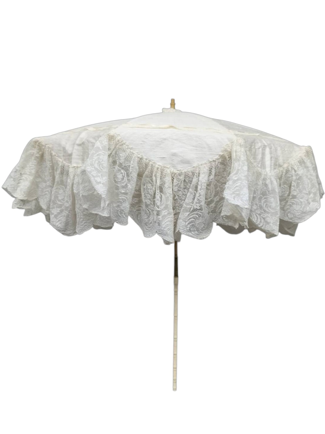 FA556534　parasol