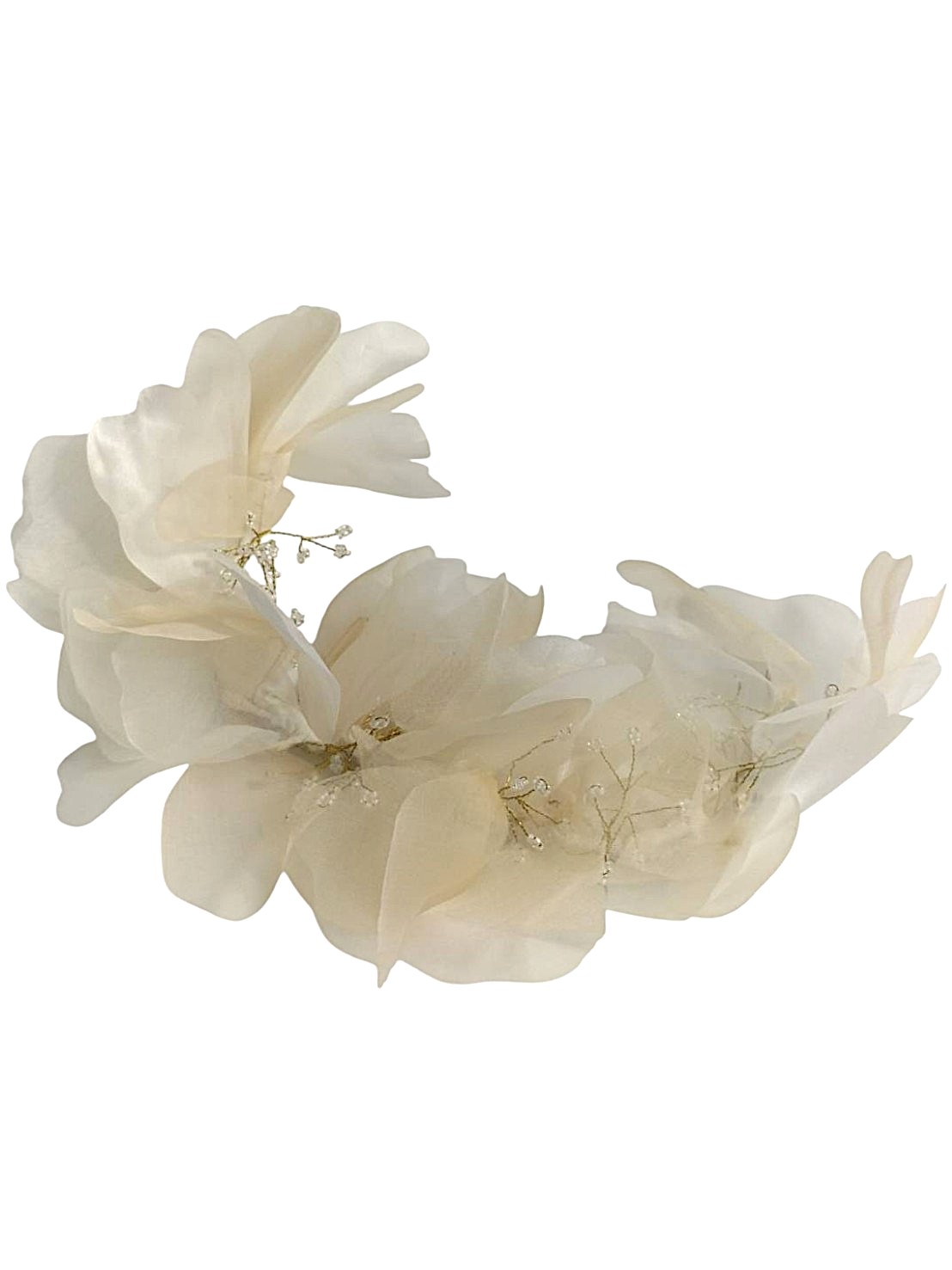 HE1000150　orgablanca