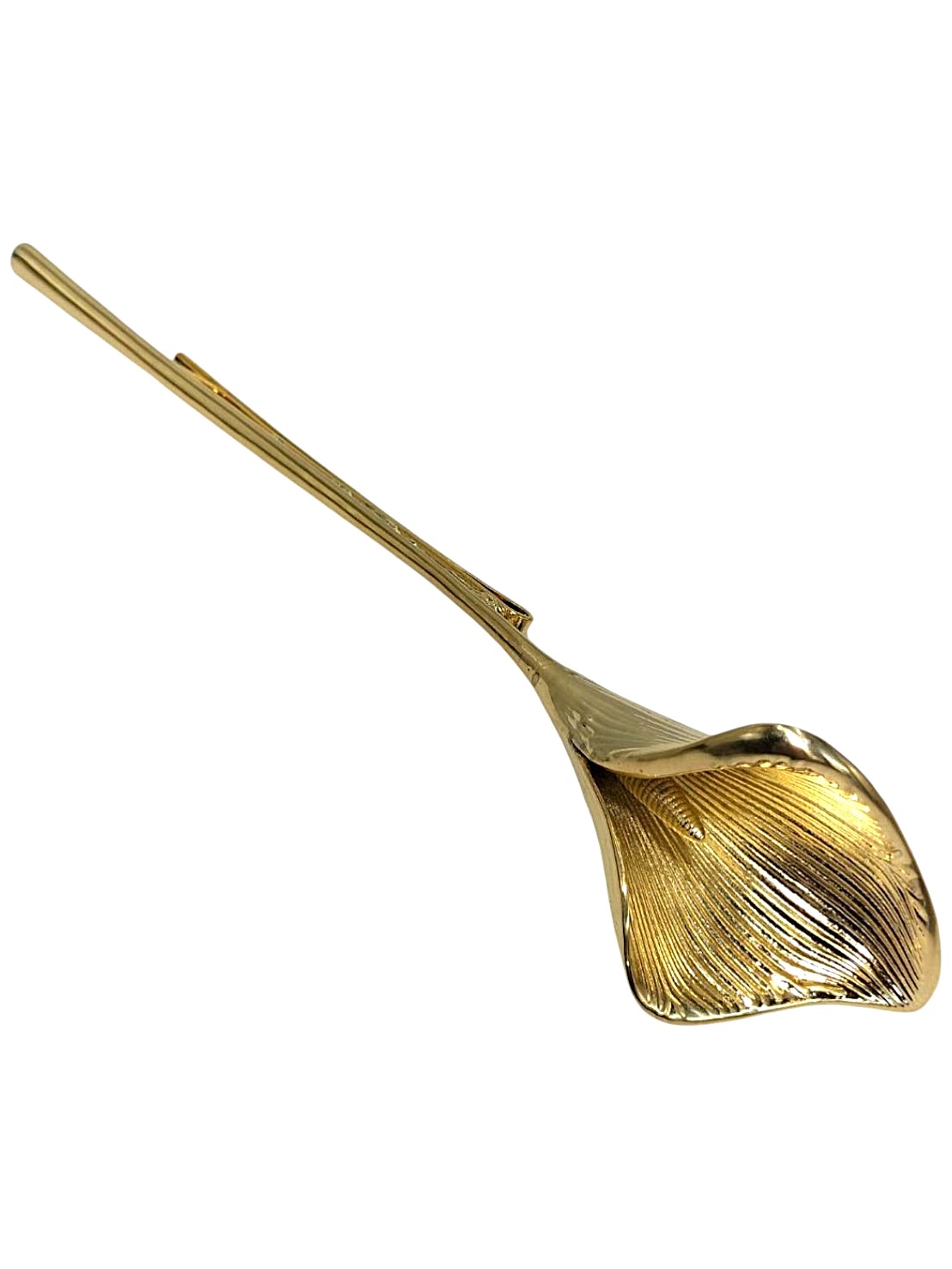 HE1000202　SYKIA&times;MAO