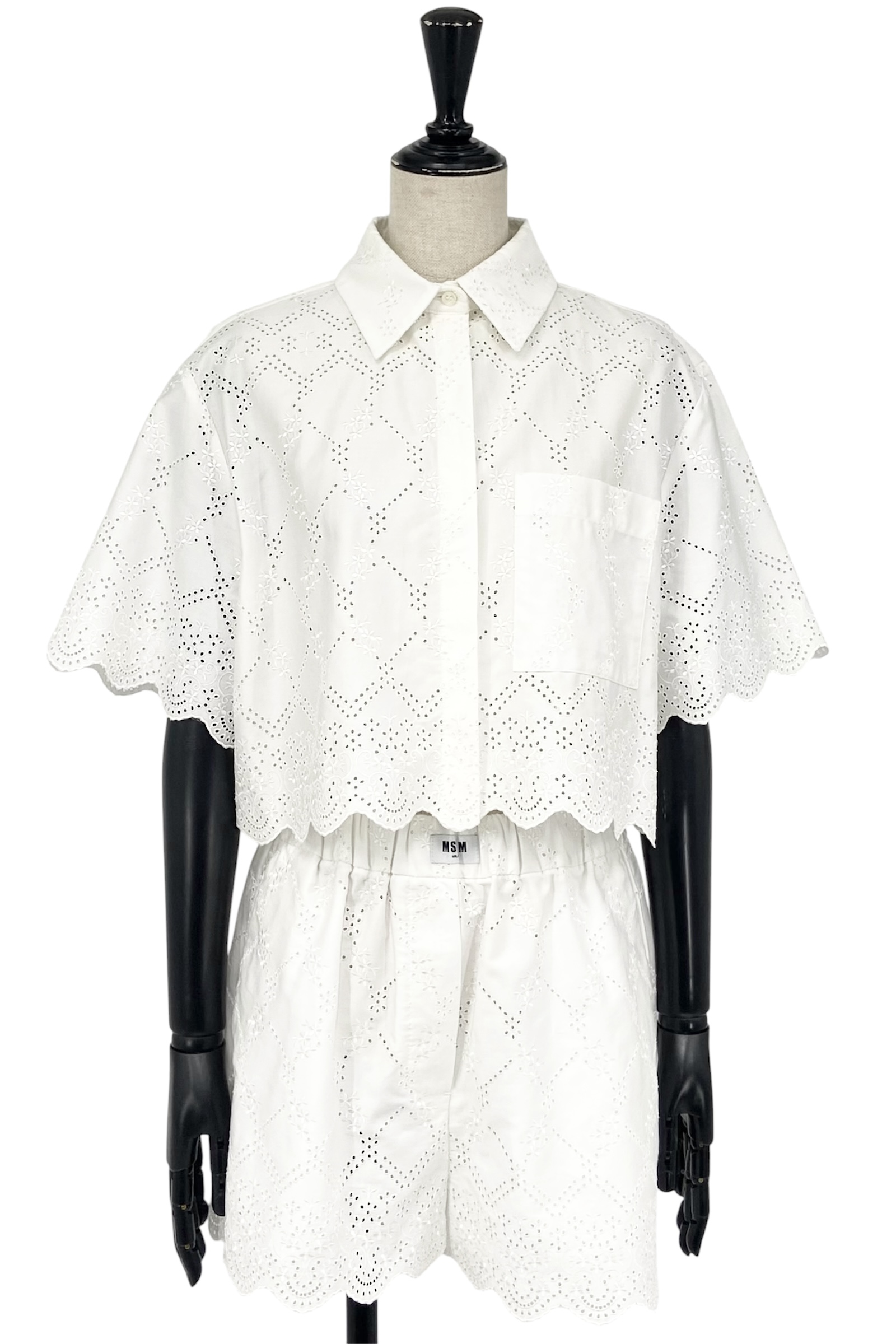 SE555901・MSGM